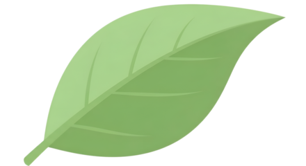 Stylized botanical illustration shows a single green leaf against a solid black background.