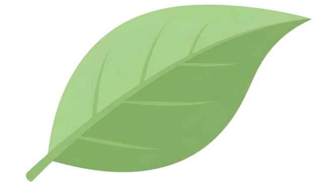 Stylized botanical illustration shows a single green leaf against a solid black background.