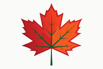 maple leaf on white background