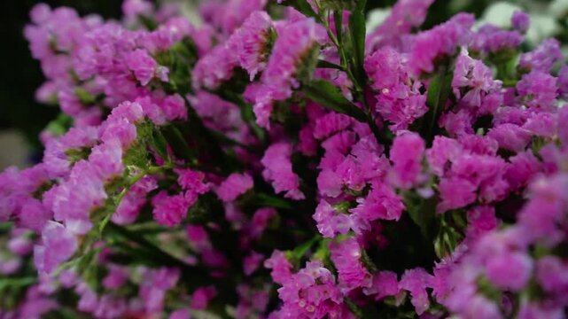Colorful Statice Flower Bunch
