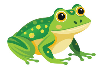 frog on white background