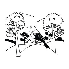 birds on a branch