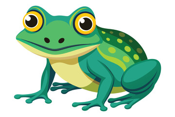frog on white background