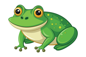 frog on white background