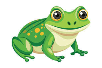 frog on white background