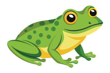 frog on white background