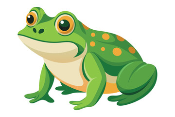 frog on white background