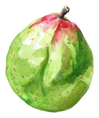 Naklejka premium PNG An isolated fresh guava illustration watercolor vibrant.