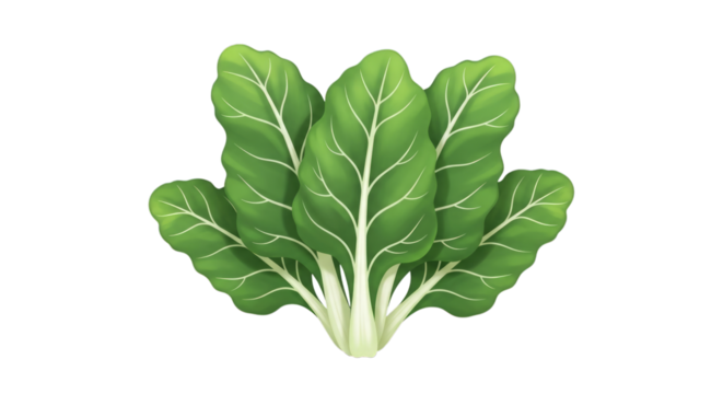 Fresh chard vegetable leafy greens healthy food ingredient on transparent background