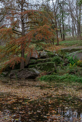 Leaf covered river beneath mossy rocks and autumn conifer branches 