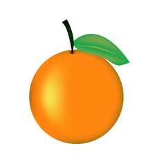 Orange Colorful Realistic – Citrus Fruit Vector Illustration, Vibrant Organic Food Artwork, and Premium Healthy Lifestyle Design
