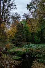 A hidden corner of the woods where dense forest meets a dark leaf-strewn pond 