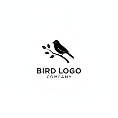 Fototapeta premium bird image