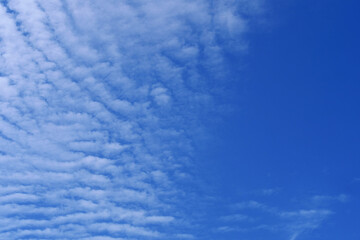 Fototapeta premium Sky's Dance of Clouds: Capturing the tranquil beauty of a clear day, the photo showcases a brilliant blue sky, adorned with soft, textured clouds, evoking a sense of calm and wonder.