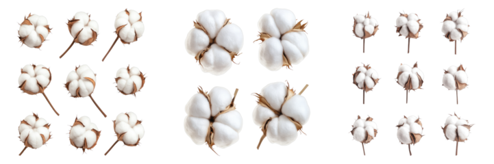 A close-up shot of several cotton bolls arranged in a pattern. Their soft, fluffy texture is highlighted