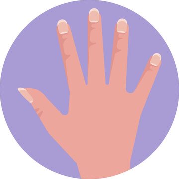 Hand with visible fingers, highlighting nails for manicure purposes.
