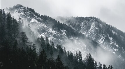 Misty Mountains Create a Tranquil Atmosphere for Reflection and Peace in Natures Beauty