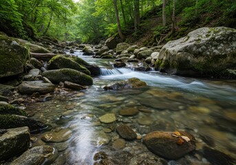 Obraz premium Clear, cool mountain brook water flowing rapidly over smooth, wet river stones and mossy rocks in a quiet, pristine natural forest setting ,flow ,cool ,water