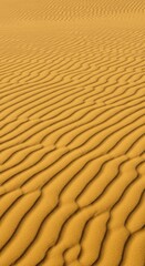 Fototapeta premium Intricate natural desert landscape featuring fine golden sand shaped into sweeping wave patterns and complex rippling textures, light, structure, environment