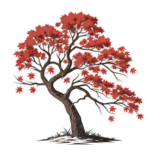 Maple Tree (Red Autumn Leaves