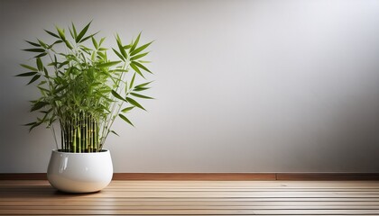 a vibrant bamboo plant sits in a white ceramic pot on a dark wooden floor the plantaets slender green stalks rise upwards creating a lush vertical shape against a plain light gray wall