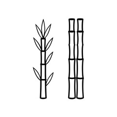 Two bamboo stalks with and without leaves drawing on transparent background