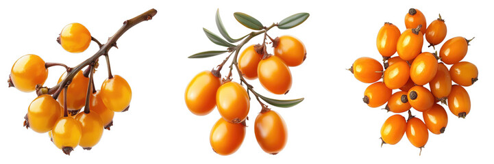 A collection of vibrant sea buckthorn berries, with their bright orange color, offer a glimpse into the natural world's bounty