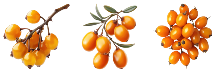 A collection of vibrant sea buckthorn berries, with their bright orange color, offer a glimpse into the natural world's bounty