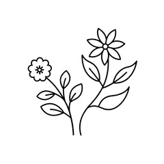Two simple floral stems with leaves and flowers on transparent background