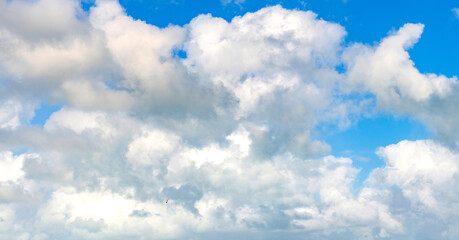 Sky filled with cloud. Overcast scene. Cloudy sky view. Cloud drifting. Cloudy atmospheric backdrop. Morning sky with cloud. Sky and cloud formation. Weather cloudscape. Air panorama