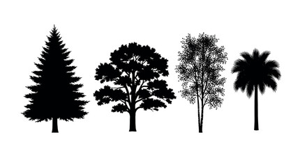 Obraz premium Black silhouette illustration of four distinct trees, including an evergreen, oak, birch, and palm, arranged in a row on a white background.