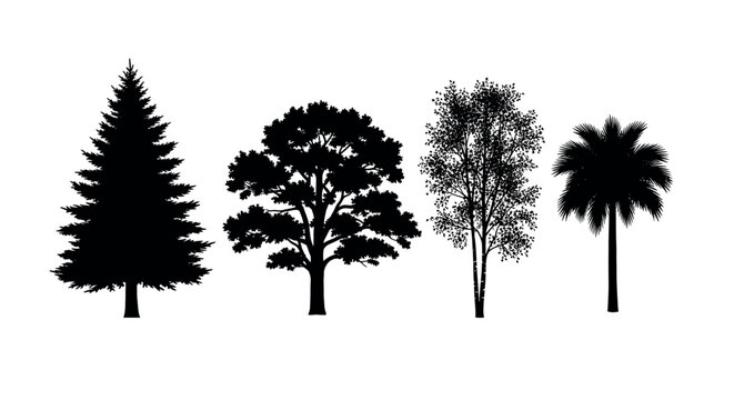 Black silhouette illustration of four distinct trees, including an evergreen, oak, birch, and palm, arranged in a row on a white background.