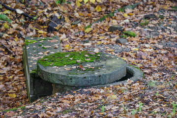 Partially uncovered concrete manhole ring outdoors in nature.
