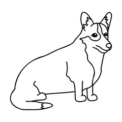 Hand drawn vector doodle set with corgi dog