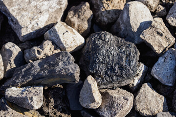 A piece of coal lying among stones.
