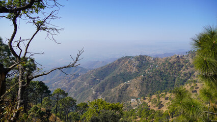A panoramic view of rolling, forested mountains & ridges extending into a distance marked by atmospheric haze.The sky is blue & sunny, green & brown slopes framed by dark, dry branches & pine foliage.