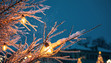 Winter Snowfall Background with Frosted Tree Branches and Warm Festive Lights