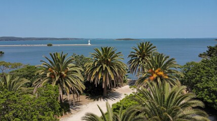 Tropical island paradise with palm trees and ocean view lighthouse scenery