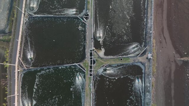 Aerial View of Aquaculture Ponds Showcasing Water Management Techniques in Sustainable Fish Farming