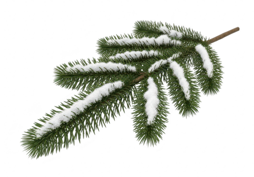 A snowy pine branch, a symbol of winter and christmas, perfect for holiday decorations and seasonal designs isolated on a transparent background	