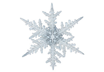 Macro photo of a real snowflake with a complex structure, captured on a transparent background, showcasing the intricate details and delicate beauty of winters natural art isolated on a transparent ba