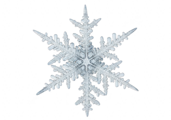 Macro photo of a real snowflake with a complex structure, captured on a transparent background, showcasing the intricate details and delicate beauty of winters natural art isolated on a transparent ba