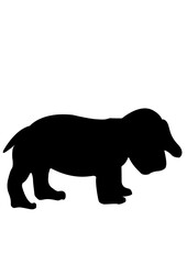 silhouette of a polar bear