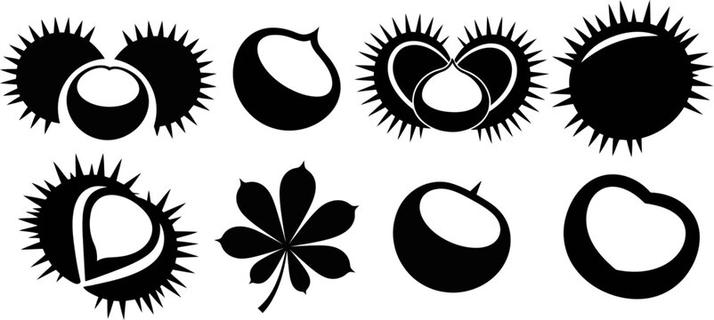 Monochrome Horse Chestnut Vector Collection