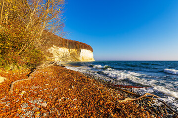 Kreidefelsen im Herbst an der Küste der Ostsee auf der Insel Rügen
