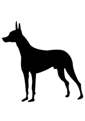 black dog silhouette