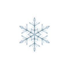 A delicate, icy blue snowflake, isolated on a transparent background, showcasing its intricate crystalline structure