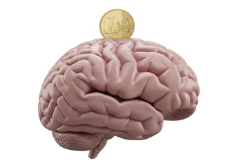 Human brain with one euro coin isolated PNG, concept of investing in knowledge and education, financial intelligence and money management