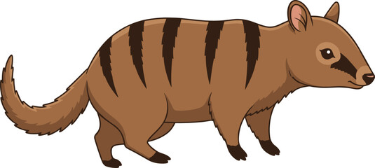 Cartoon numbat with bushy tail and striped back, vector illustration for Australian wildlife education and friendly marsupial character concept