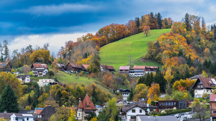 Built-up mountainside with houses, gardens and forests, autumnal colored under cloudy sky, steep meadow with single tree, village on hill, old and new house and autumn trees